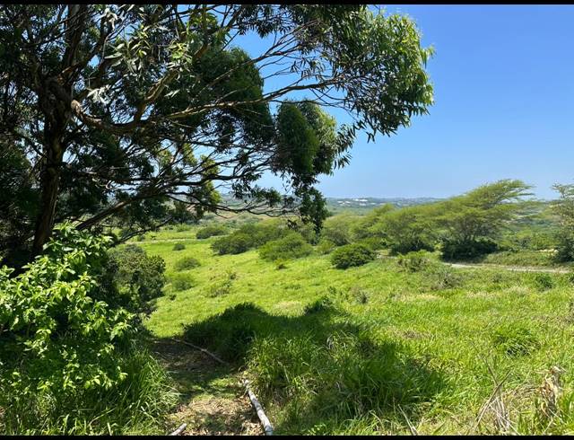 16,870M² VACANT LAND FOR SALE IN SALT ROCK